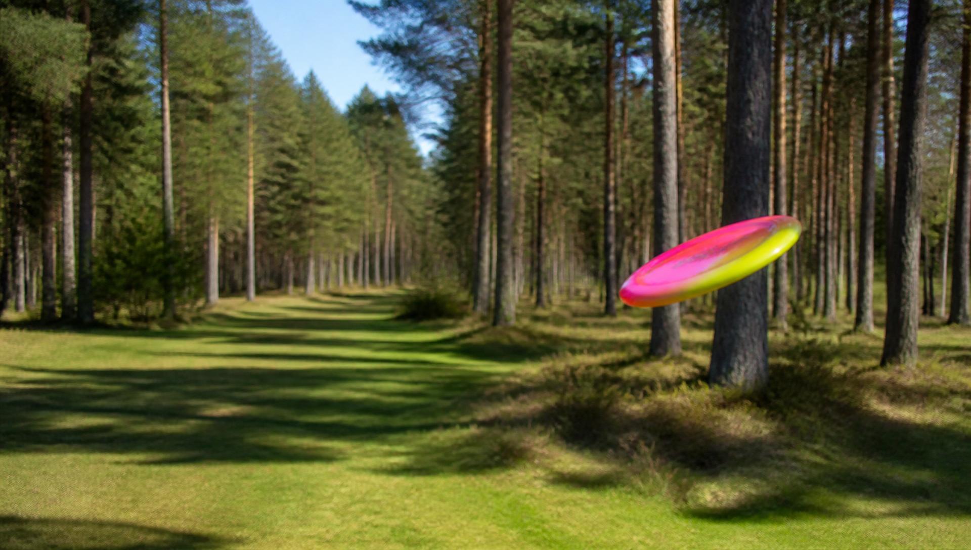 Discgolfdisc i flykt över en skogsbana